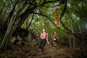 BIB: 
                            <button type="button" onclick="openModal(22178347)" class="btn btn-primary btn-sm float-right btn-popup" data-toggle="modal" data-target=".modal-high-quality">
                        <i class="fas fa-shopping-cart"></i> Add to Cart
                    </button>
                                            <button type="button" onclick="isThisMe(22178347, true)" class="btn btn-success btn-sm float-right btn-popup btn-isme hidden" data-toggle="tooltip" data-placement="bottom" title="นี่คือรูปของคุณใช่ไหม คลิกที่นี่เพื่อเอาเข้าอัลบั้ม">
                        <i class="fas fa-plus"></i> Add to album
                    </button>
                    <button type="button" onclick="isThisMe(22178347, false)" class="btn btn-warning btn-sm float-right btn-popup btn-isnotme hidden">
                        <i class="fas fa-ban"></i> Remove from album
                    </button>